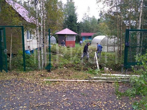 Расчистка участка, въезд и парковка рядом с Сосново.  №3