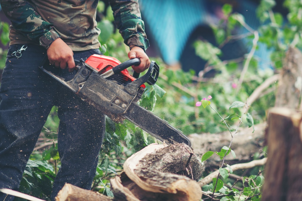asian-man-cutting-trees-using-electrical-chainsaw (1).jpg